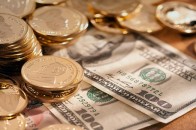 В Україні доларів більше, ніж гривень, - НБУ