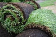 Поблизу Луцька незаконно зайняли землю площею 8 гектарів