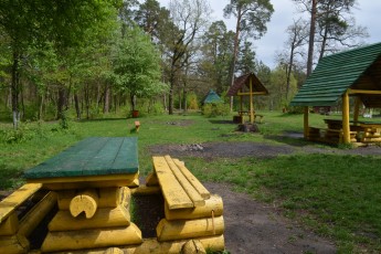 Вогонь охопив понад 100 гектарів волинської землі