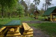Вогонь охопив понад 100 гектарів волинської землі