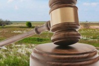 Земельні аукціони: скільки вторгували за волинську землю цьогоріч