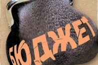 Волинські лісові підприємства сплатили майже 40 мільйонів податків та платежів