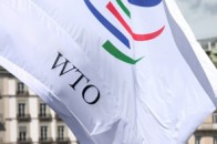 Україна має скасувати додатковий імпортний збір до кінця року, - СОТ
