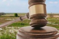 Ще понад 300 гектарів волинських земель виставили на торги