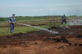 На Волині горіло торфовище