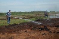 На Волині горіло торфовище