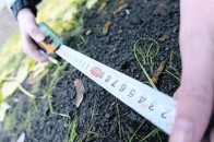 Після інвентаризації земель надходження до бюджету Волині зросли втричі