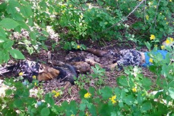 Під Донецьком знайдено понівечені терористами трупи