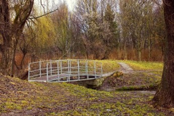 Землю поблизу Парку 900-річчя повернуть луцькій громаді
