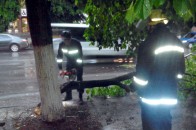 У Луцьку рятувальники ліквідували наслідки негоди ФОТО