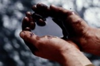 Експерти знайшли на Волині «золоту жилу», з якої можна качати нафту та газ