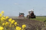 Тисячі гектарів волинської землі обробляють незаконно
