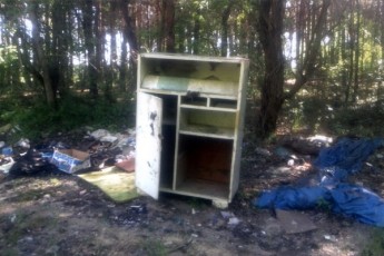Волинські ліси потопають в смітті: від старих меблів до реферата доньки прокурора ФОТО