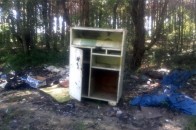 Волинські ліси потопають в смітті: від старих меблів до реферата доньки прокурора ФОТО