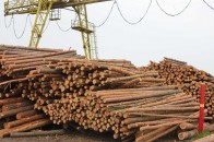 Волиняни відправляють допомогу на укріплення Краматорська