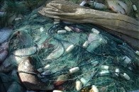 Двоє волинян «погоріли» на браконьєрстві