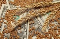 Понад 600 тисяч боргує своїм працівникам луцький хлібокомбінат