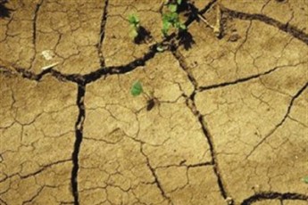 Волині загрожує масштабна посуха