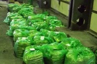 На Волині затримали рекордну для України партію наркотиків — півтонни героїну ВІДЕО
