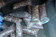 На Волині затримали 12 кілограмів контрабандного бурштину ФОТО