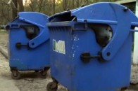 Троє волинян судитимуть за викрадений сміттєвий бак