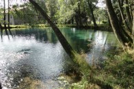 Волиняни б’ють на сполох: під загрозою Оконські джерела