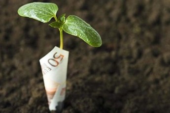 Нові ставки: скільки у Луцьку платитимуть за землю