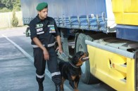 На волинському кордоні затримали тютюнову контрабанду