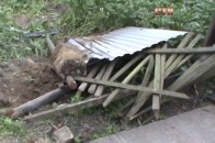 Нічна ДТП на Волині: атівка влетіла в двір приватного будинку ВІДЕО