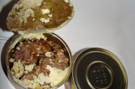 Українських солдатів годують гнилою картоплею та зіпсованими консервами ВІДЕО