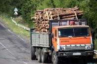 На Волині перекинулась вантажівка з деревиною ФОТО