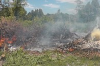 Хто підпалив Центральний парк у Луцьку?