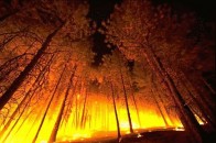 На Волині палають ліси та торфовища