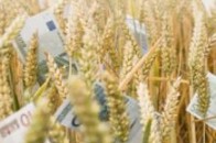 Волинські податківці «відбілять» зарплати селян