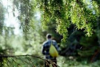 У волинському лісі заблукав 9-річний хлопчик