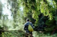 У волинському лісі заблукав 9-річний хлопчик