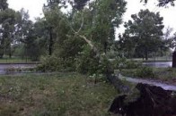 Ураган на Волині повалив дерева на відпочивальників, є постраждалі
