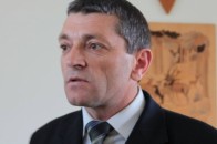 Головний лісівник Волині подав у відставку, - ЗМІ