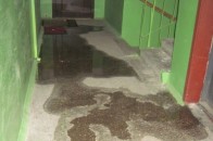 У Луцьку мешканці багатоповерхівки «плавають» у власному будинку