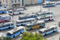 У Луцьку стали менше перевозити пільгових пасажирів