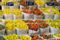 Луцьких квітникарів відправили невідомо куди