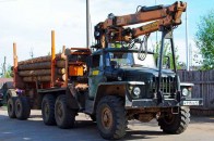 Україна почала «війну» з лісорубною мафією