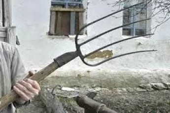 П’яний волинян ледь не забив вилами дружину