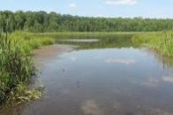 На Волині катастрофічно обміліло озеро