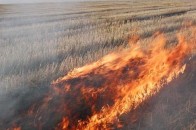 На Волині у чотирьох господарствах сталися пожежі