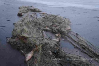 Прикордонники «вполювали» на Волині браконьєрів