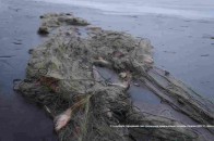 Прикордонники «вполювали» на Волині браконьєрів