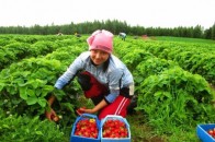 Українцям, які їздять на заробітки, доведеться платити подвійні податки