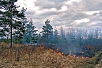 На Волині палають торфовища, вогонь підходить до села ВІДЕО