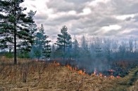 На Волині палають торфовища, вогонь підходить до села ВІДЕО